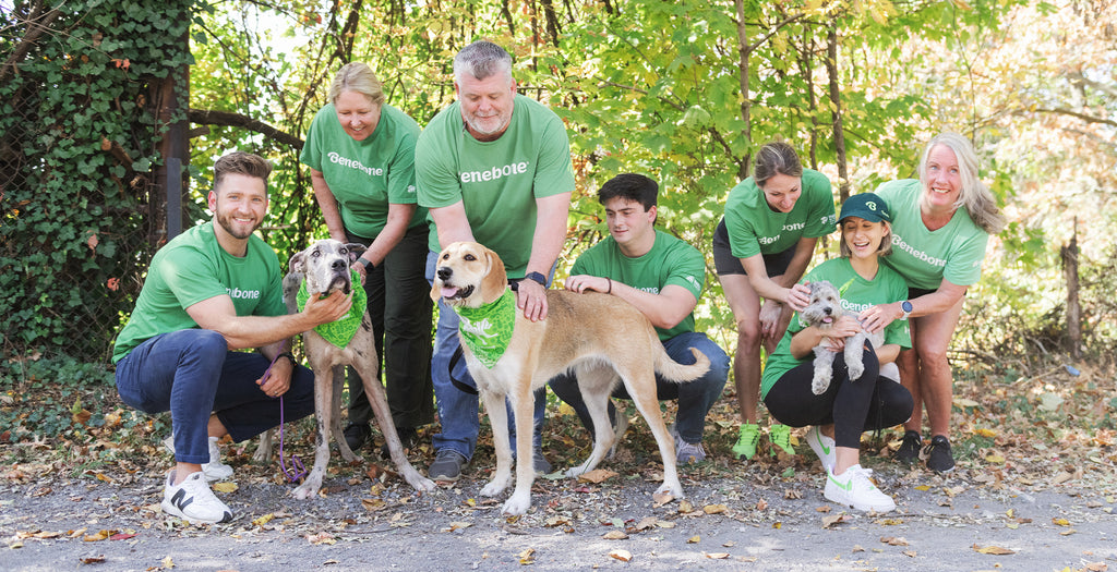 Seven Benebone team members posing with three dogs in front of fall foliage.