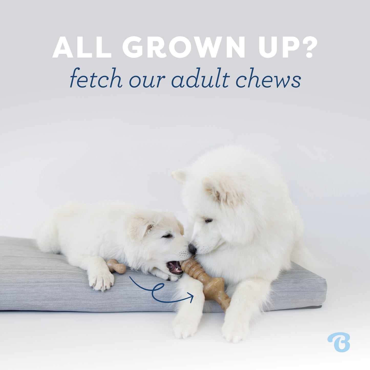 Puppy Dental Chew