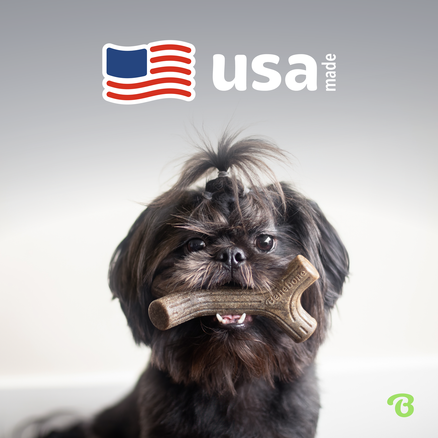 USA Made: Fluffy black dog looking at camera holding a Benebone Maplestick in its mouth.