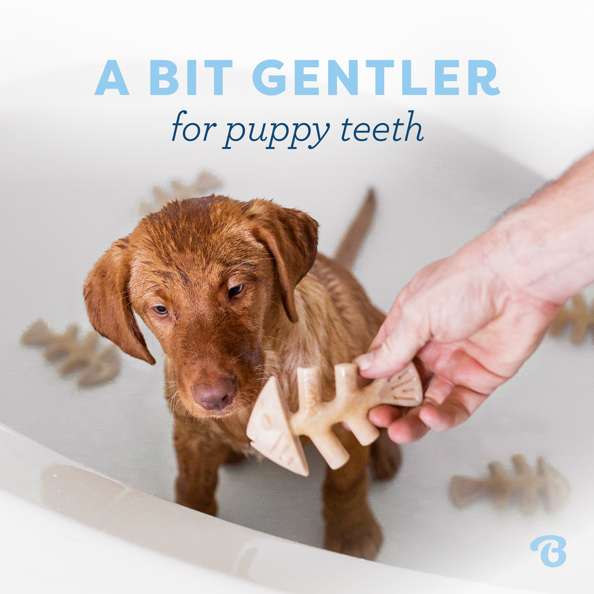 A Bit Gentler for Puppy Teeth