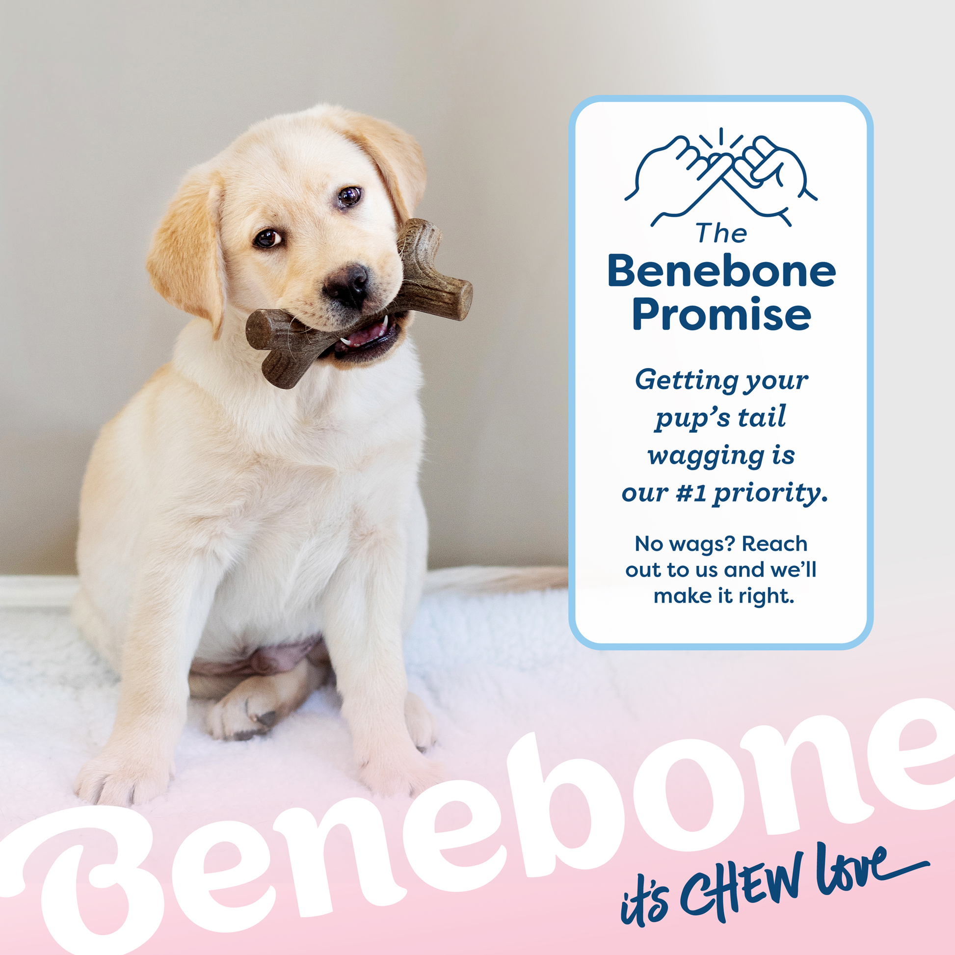 The Benebone Promise: Getting Your Pup's Tail Wagging is Our #1 Priority. No wags? Reach out to us and we'll make it right.