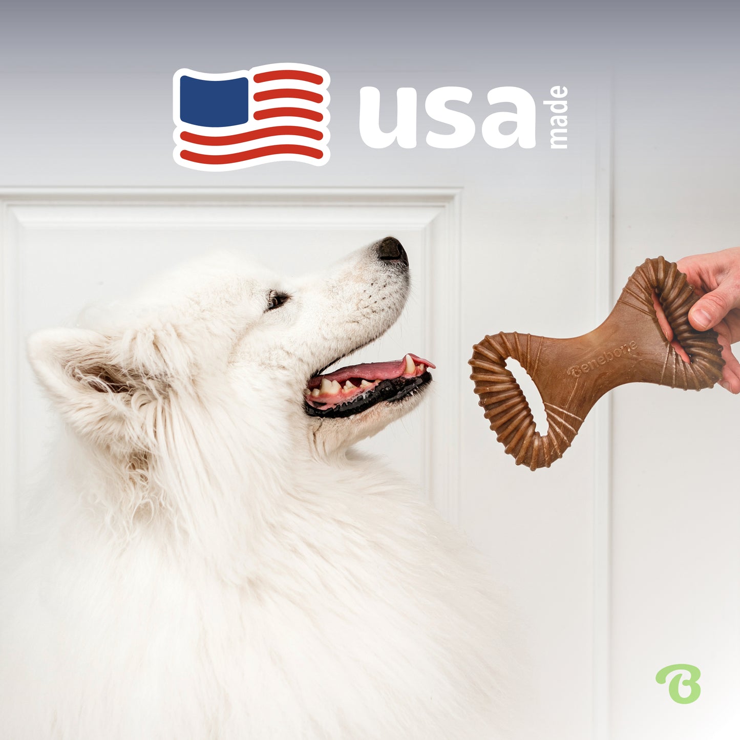 USA Made: White dog sitting in front of a Benebone Dental Chew.