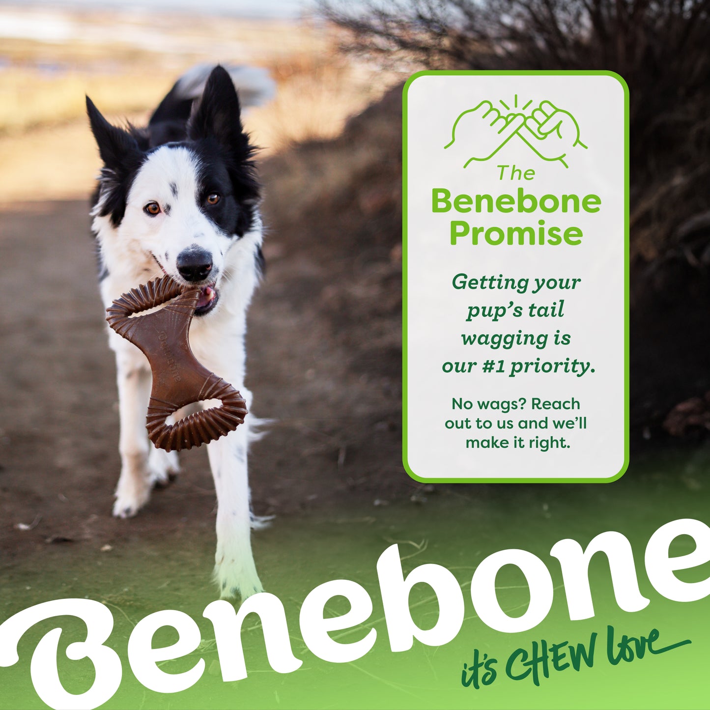 The Benebone Promise: Getting your pup's tail wagging is our #1 priority. No wags? Reach out to us and we'll make it right.