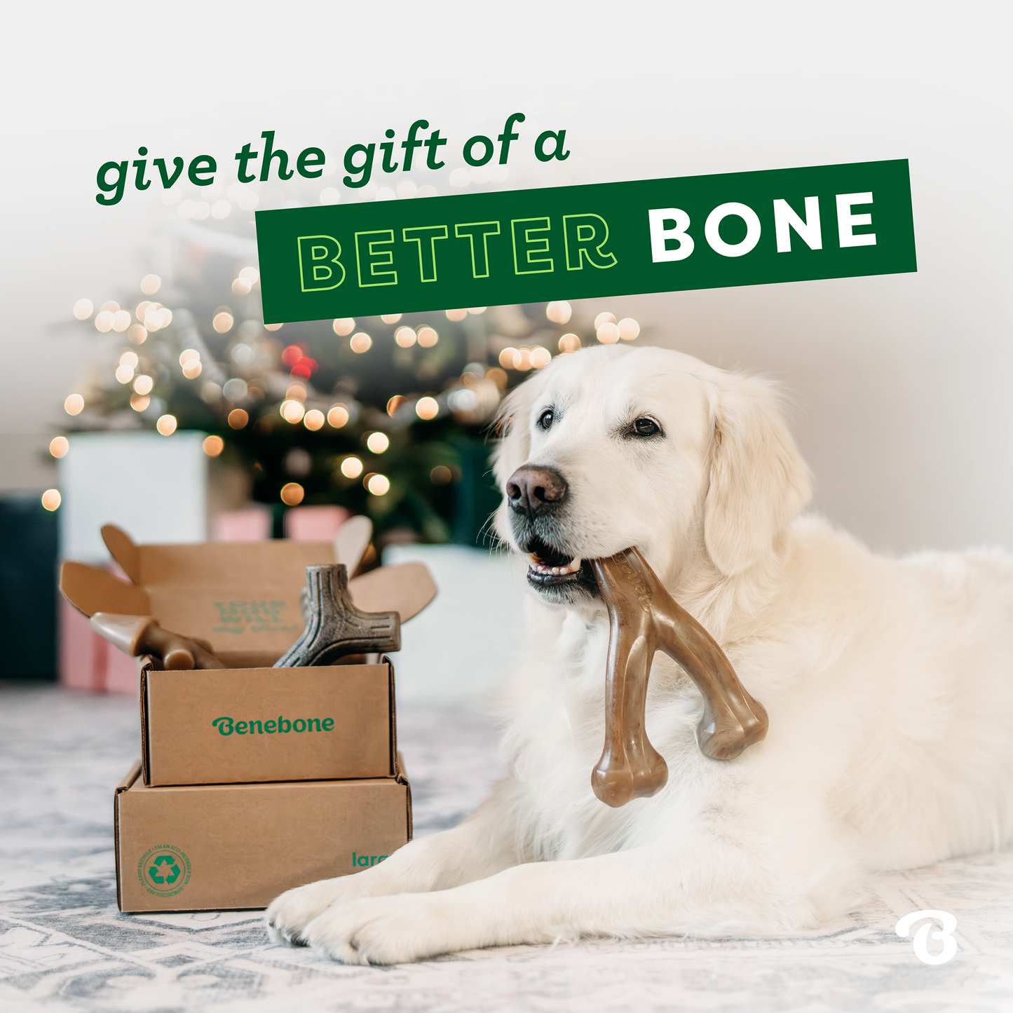 Dog chewing Benebone next to box of Benebones. Test reads: Give the gift of a better  bone.