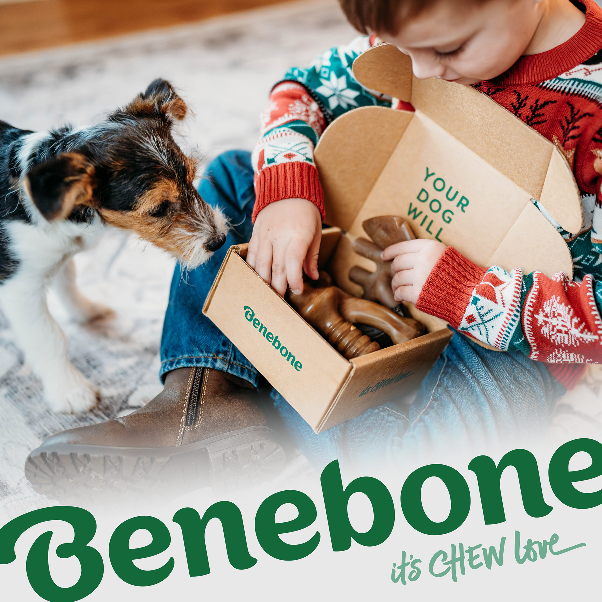 Dog and child opening box of Benebones. 