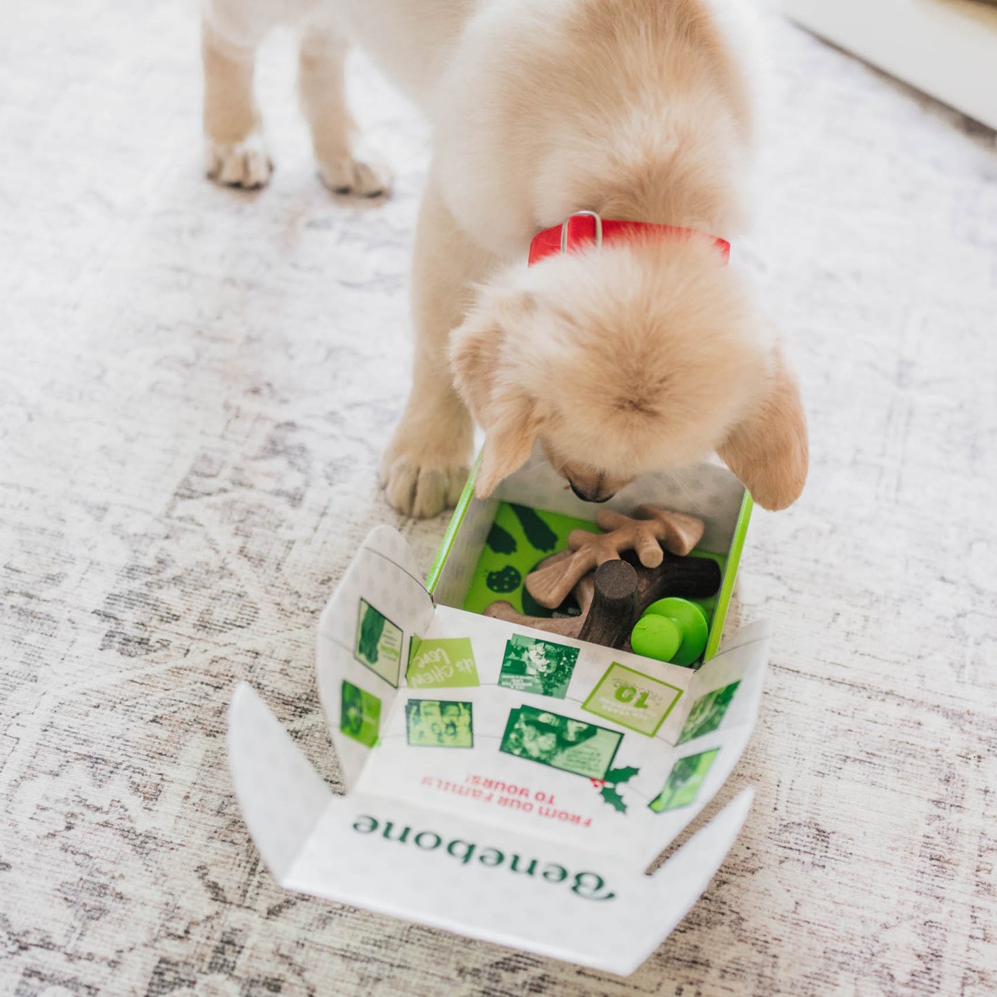 Do looking at Benebones in a box.