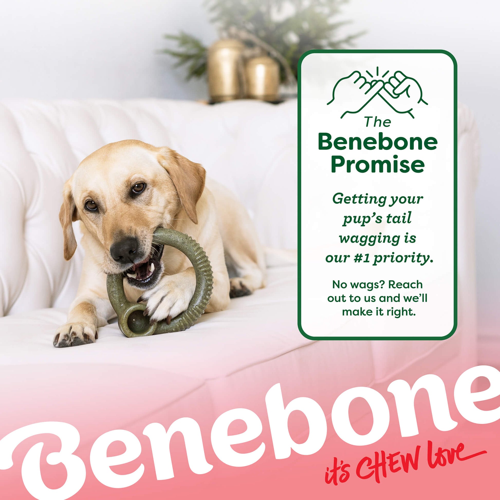 Dog chewing on peppermint ring bone. Text reads: the Benebone promise. Getting your pup’s tail wagging is out #1 priority. No wags? Reach  out to us and we’ll make it right.