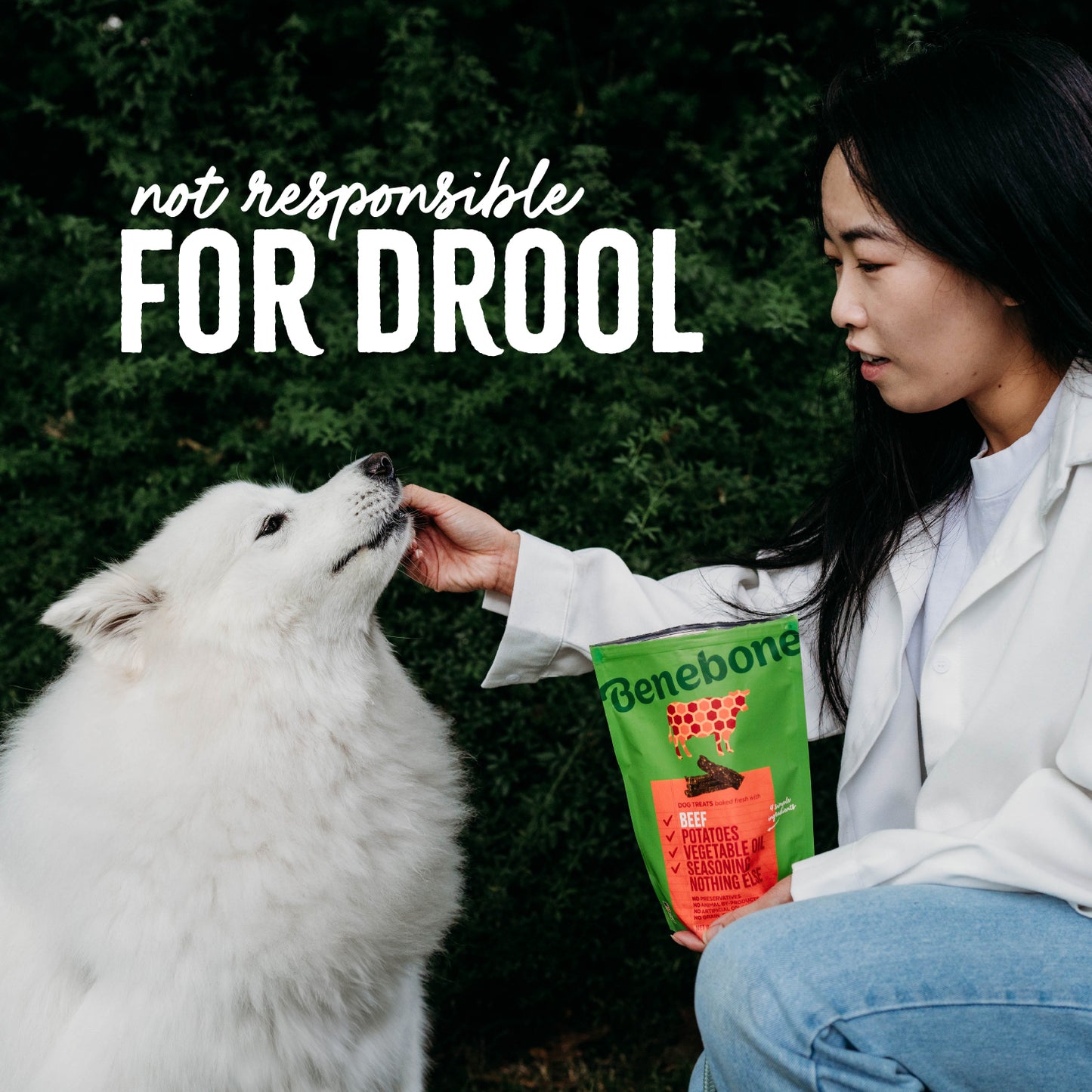 Not Responsible for Drool: A Samoyed (a medium-sized fluffy white dog) chews a treat while sitting next to its owner who is holding a bag of Benebone Beef Dog Treats.