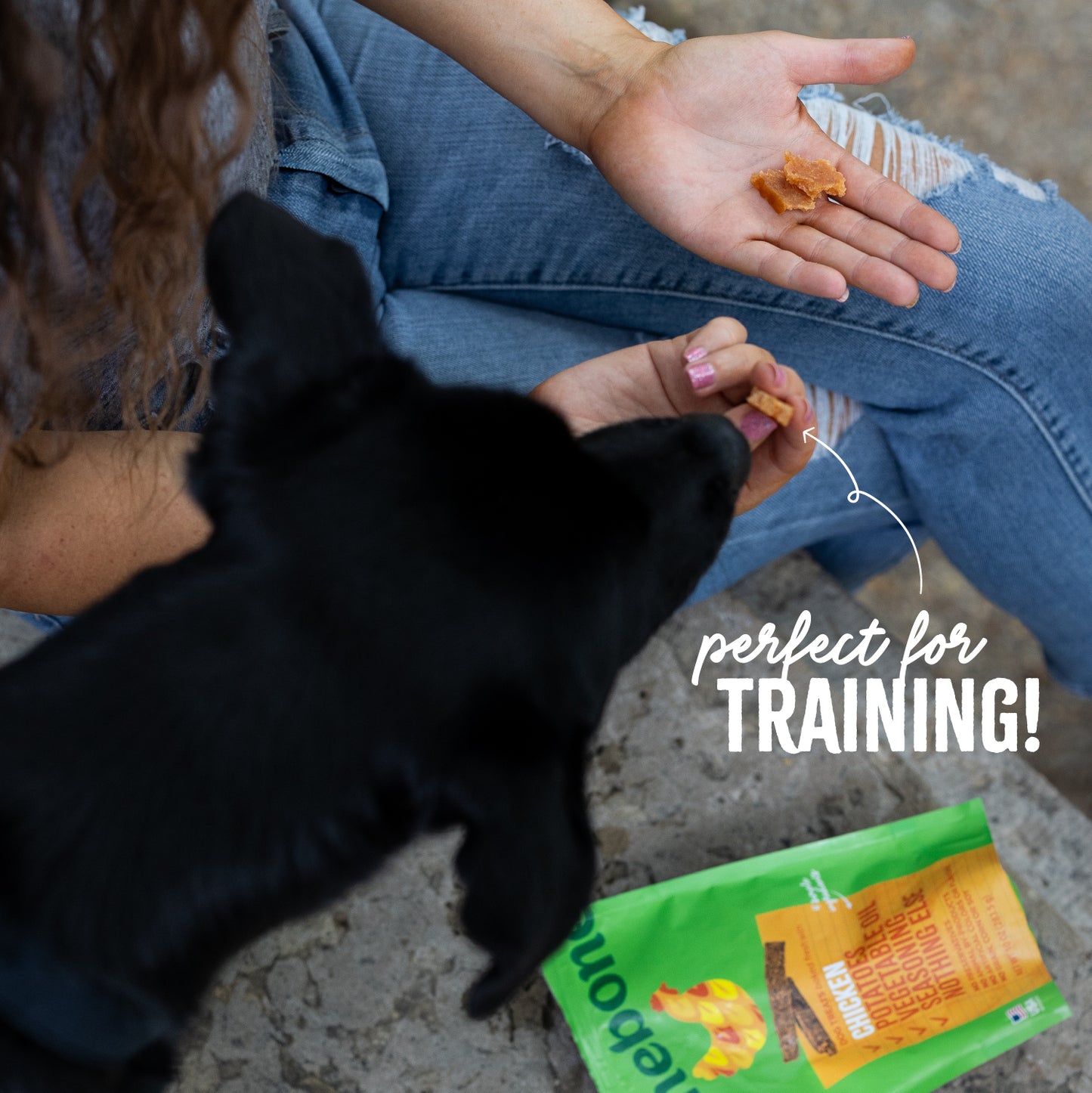 Perfect for Training: A medium-sized mutt with black fur and pricked ears sits and looks over at its owners hand who is holding a handful of Benebone Chicken Dog Treats broken into small pieces.