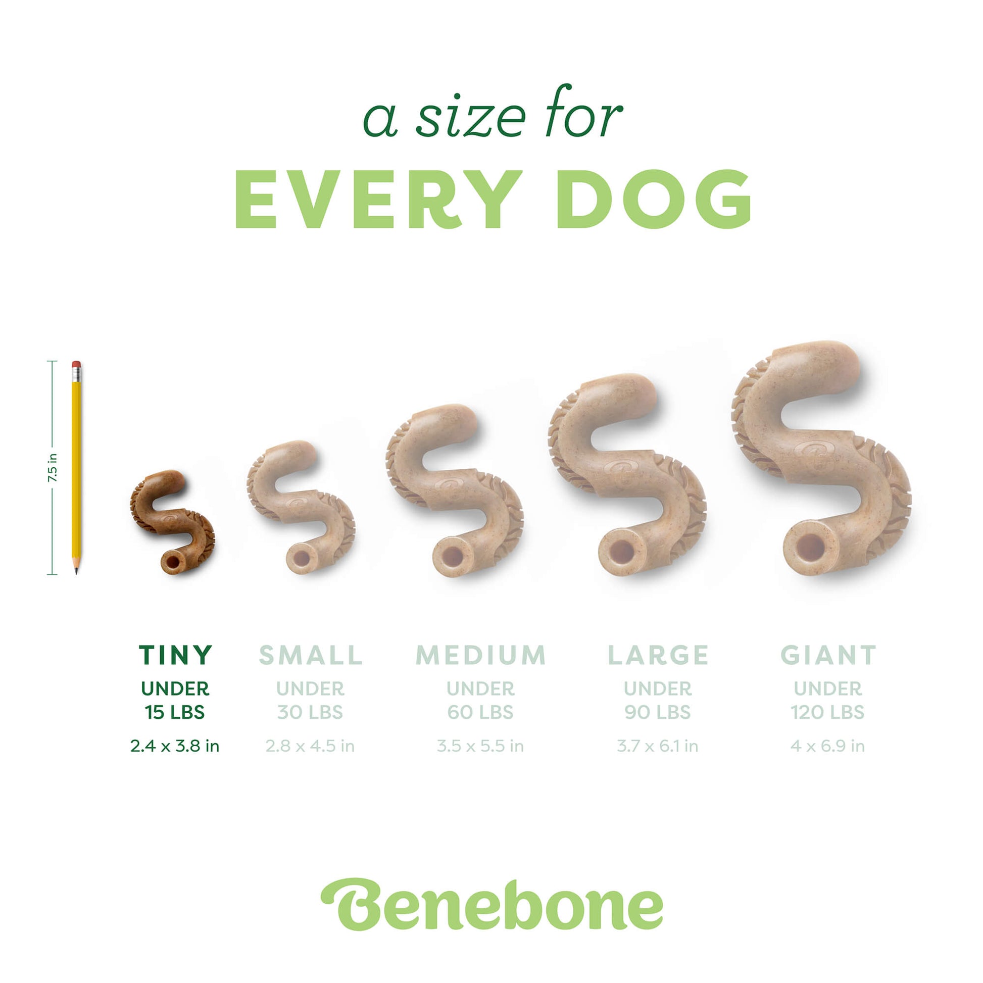 Image shows all tripe sizes next to each other. Text reads a size for every dog. Tiny under 90 lbs, 2.4 x 3.8 in