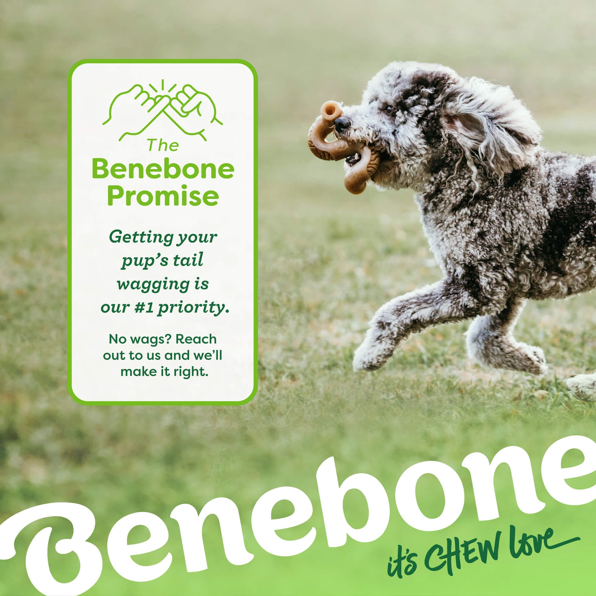 Dog with Tripe bone in mouth. Text reads. The Benebone promise. Getting your pup’s tail wagging I our #1 priority. No wags? Reach out to us and we’ll make it right.