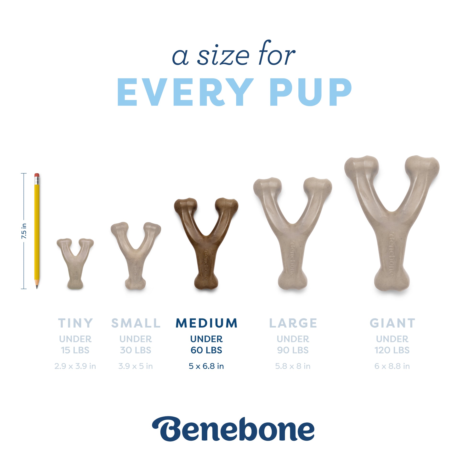 A size for every pup. Size guide. Medium wishbone, under 60 lbs.