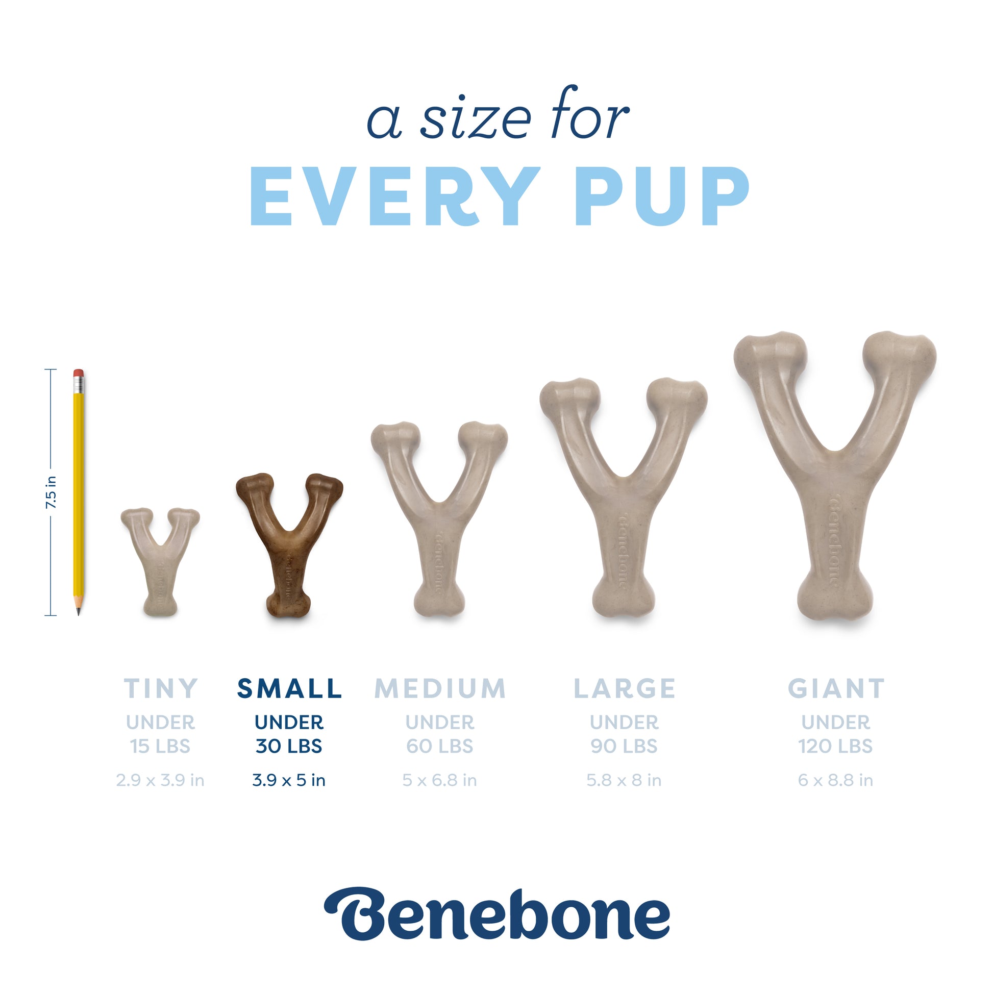 A size for every pup. Size guide. Small wishbone, under 30 lbs.