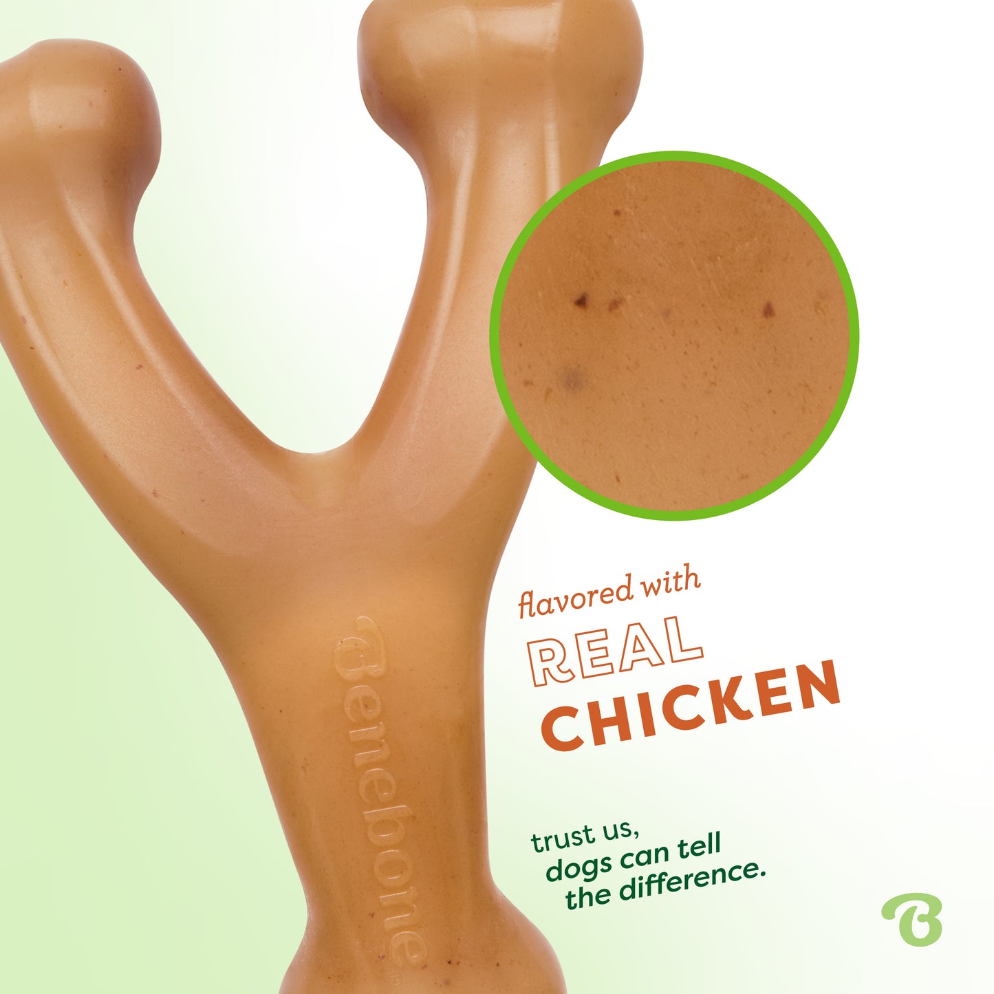 Flavored with real chicken. Trust us, dogs can tell the difference. Close up of Benebone chicken wishbone.