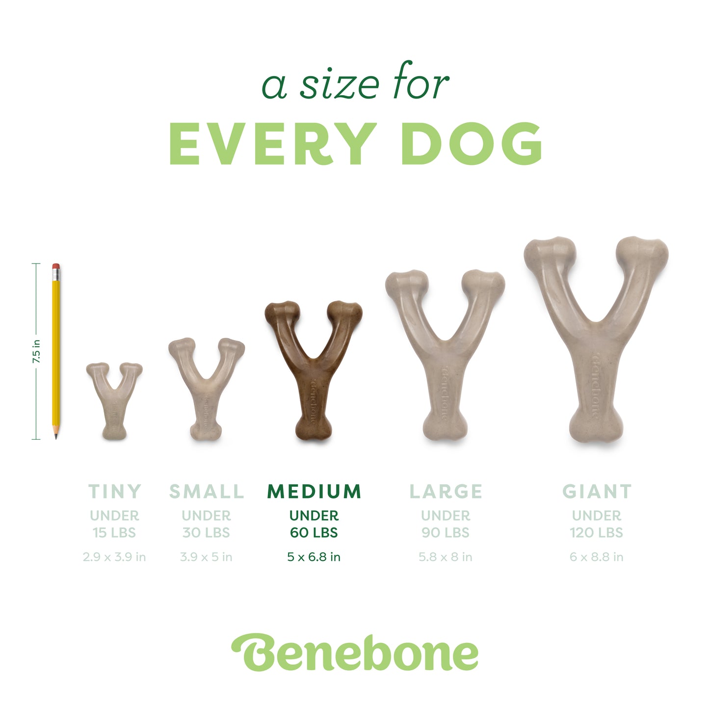 A size for every dog. Size guide: medium wishbone,  under 60 lbs.