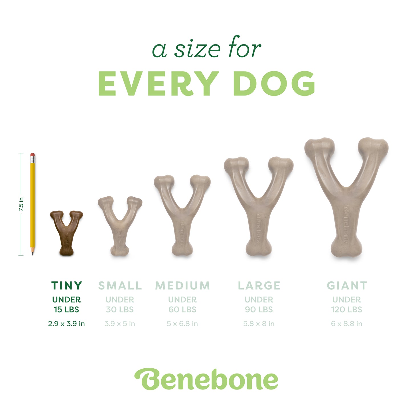 A Size for Every Pup: Tiny Wishbone (for dogs under 15 lbs)