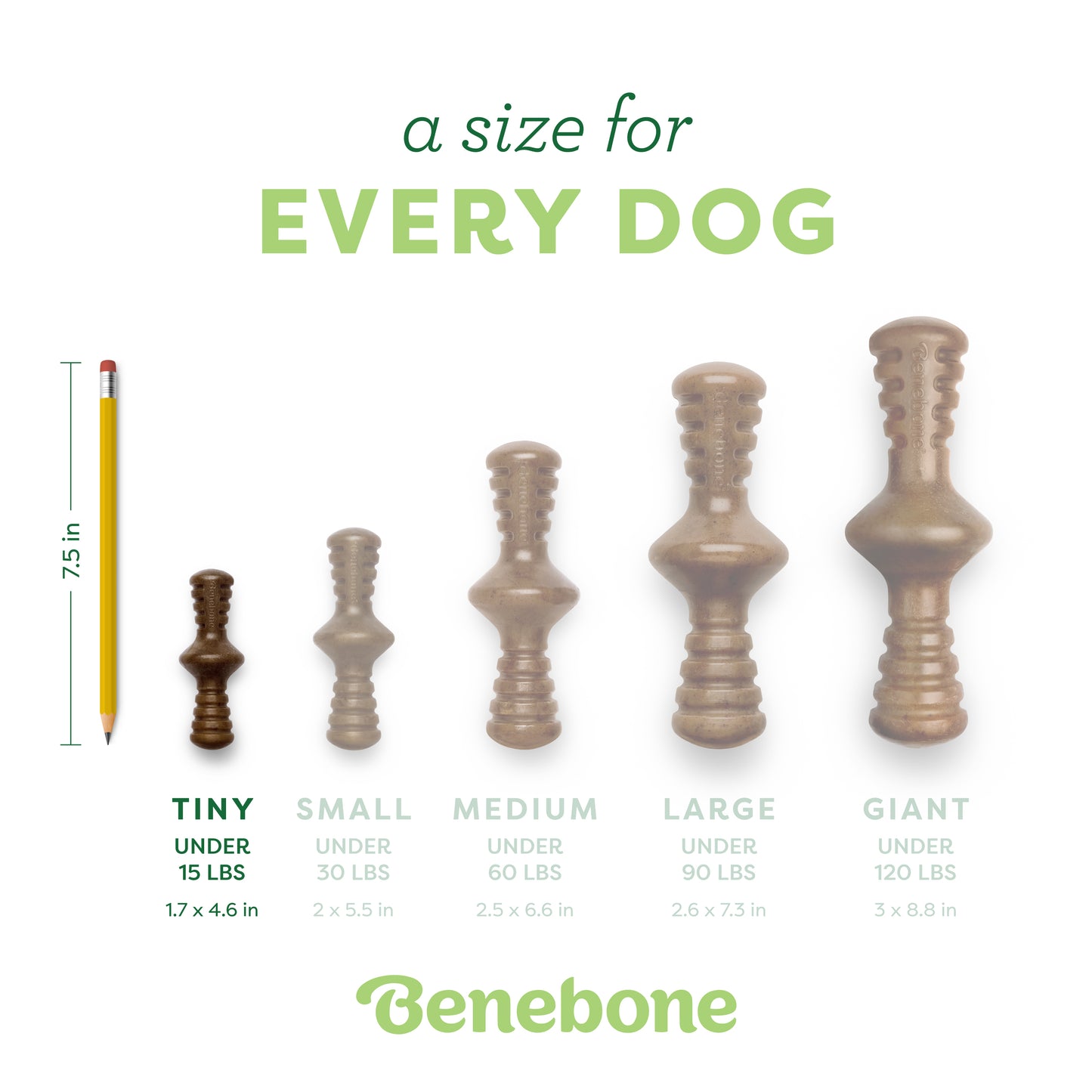 A Size for Every Pup: Tiny Zaggler (for dogs under 15 lbs)