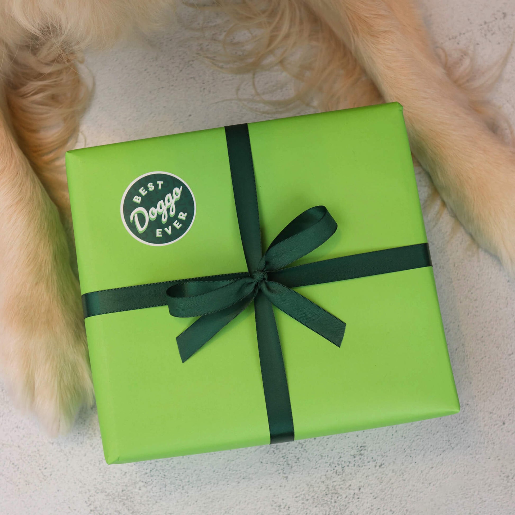 Gift box wrapped in green wrapping paper with green bow. Sticker reads: Best Doggo ever.