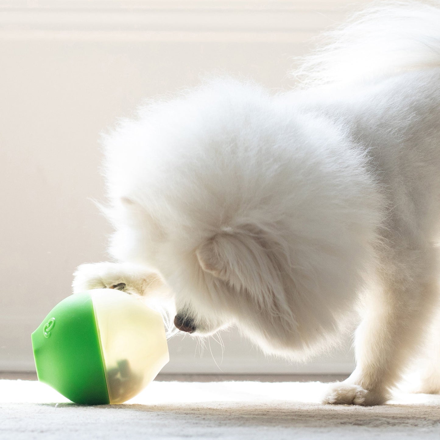 Benepaw Durable Dog Chew Toys Interactive Treat Dispenser For